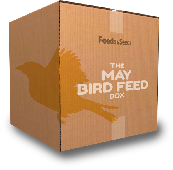 May Bird Feed Box