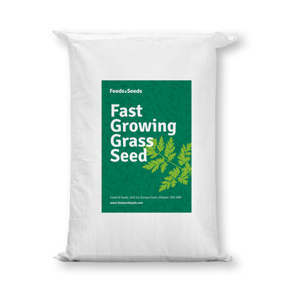 Fast Growing Grass Seed