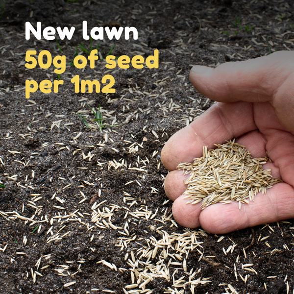Buy Fast Growing Grass Seed Online Free PP over 25 Feeds and