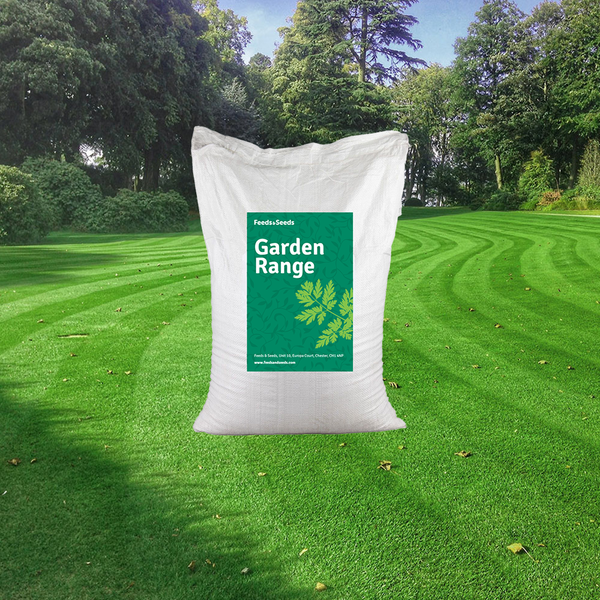 Shaded Area Grass Seed