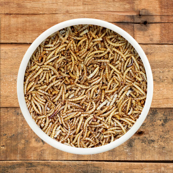 Dried Mealworms for Birds