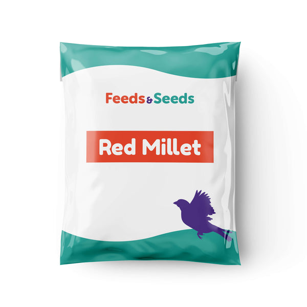 Red Millet for Birds