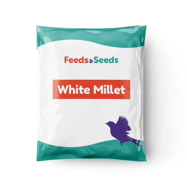 White Millet for Birds