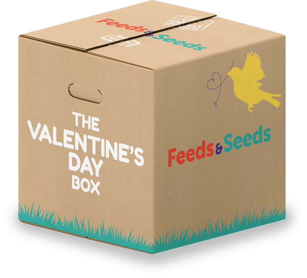 Valentine's Day Bird Feed Box